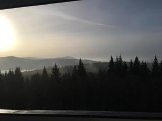 Feuersalamander Appartement am Predigtstuhl - 4