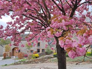 « Le LoMa » Ancienne fermette - 8