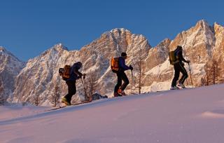 Aparthotel DAS Hochkönig - Ramsau am Dachstein - 1