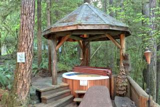 Snowline Cabin 25 A country-style pet friendly cabin with hot tub and wifi - 1