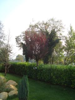 Hotel Le Ginestre - Roccacasale - 4