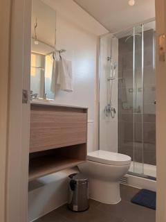 Alto Llaima Suites - Temuco - 7