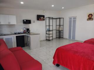 Casa los Sauces - Tepic - 4