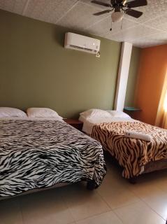 Hostal LAS GARZAS DEL PELADO - Playas - 9