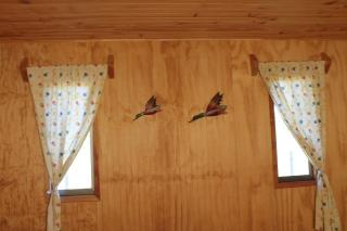 Beautiful Family Cabin, Lots of Nature - Voipire - 3