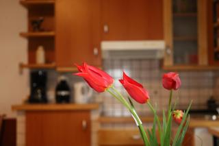 Apartment Norma - Bovec - 4