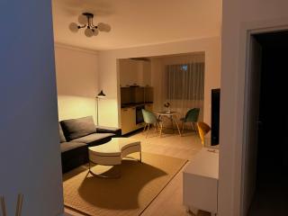 Hils Apartment - Bucharest - 1