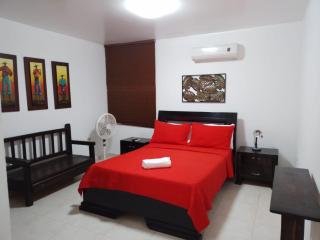 Hotel La Casona Valledupar - Valledupar - 0