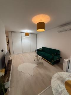 Casa Astorium Garden - Bucharest - 1