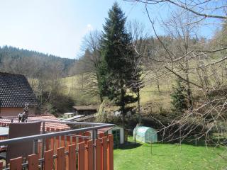 Ferienwohnung Schönmünzblick - Baiersbronn - 1