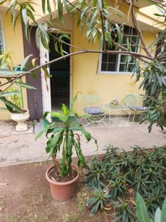 Kingston tropical retreat - Kingston - 5