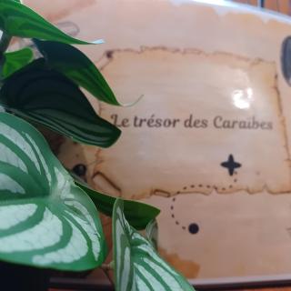 Le trésor des Caraïbes - 7