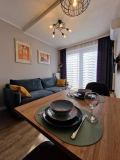 Apartament Busko Odnova - Busko-Zdrój - 7