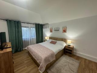 Bavaria Rooms - Iaşi - 7