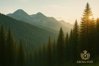 Alpin Panorama Suite by Arosa-Stay - Arosa - 9