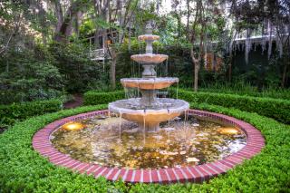 Magnolia Plantation & Cottages - Gainesville - 5