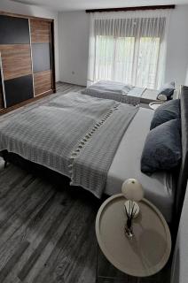 Apartman STARI GRAD - Bihać - 3