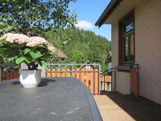Ferienwohnung Schönmünzblick - Baiersbronn - 5