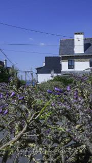 CORNOUAILLE house 6 p close to Concarneau beach - Concarneau - 8