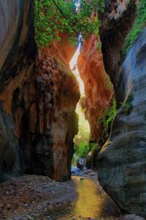 Dana's scenic trails - Dana - 1