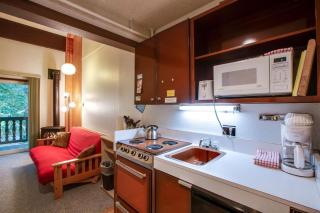 Snowline Lodge - Condo 56 - Sleeps 4 - Close to Mt Baker Free Wifi - Bellingham - 8