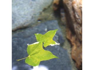 Chuseikan - Vacation STAY 34512v - 6