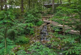 A Mammoth Cave Getaway - Park City - 1