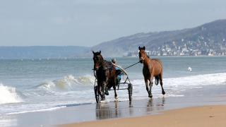Duplex pour escapade en Normandie - Merville-Franceville-Plage - 2