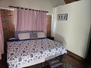 Ximenoa Rivers Villa Relax - Jarabacoa - 5