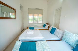Spacious Eco Guest House Colombo - Sri Jayewardenepura Kotte - 6