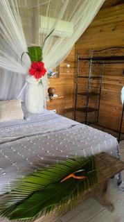 BUNGALOW La Tortue Bleue - Bouillante - 2