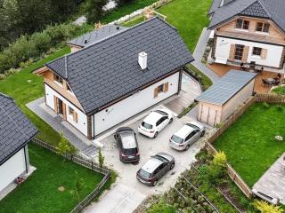 Auerhahn - Donnersbachwald - 0