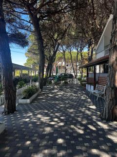 Vila Reni Apartament - Golem - 6