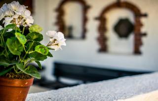 Apartments Maestral - Trpanj - 3