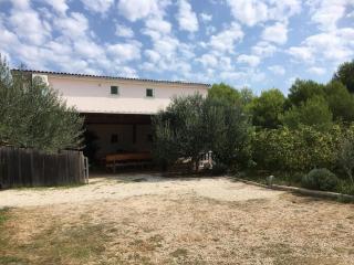 Apartments with parking space Vir - 24289 - 5