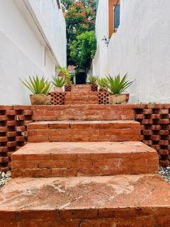 Departamento con terraza en el Centro -Costa- - Oaxaca de Juárez - 3