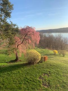 The Huron stunning water views and family home vibes in Milton - Milton - 6