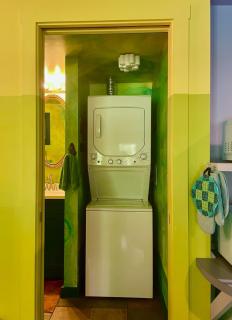 The Disco Den on Toad Road - Plainfield - 3