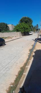 Casaflordemandacaru - São Miguel dos Milagres - 8