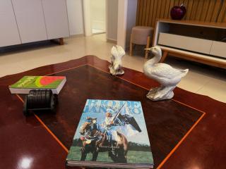 Apartamento 3 quartos vista mar - 6