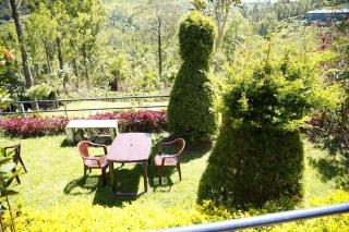Nest Valley Kotagiri - Kotagiri - 9