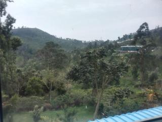 Nest Valley Kotagiri - Kotagiri - 1