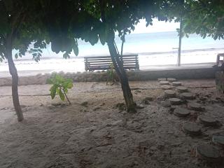 Yohana Cottage - Tual - 6