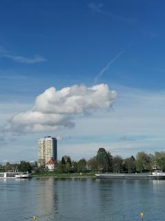Rhein Panorama - Strasbourg-Kehl - Kehl am Rhein - 0