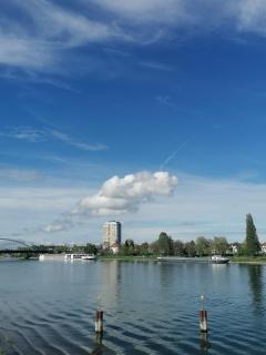 Rhein Panorama - Strasbourg-Kehl - Kehl am Rhein - 1
