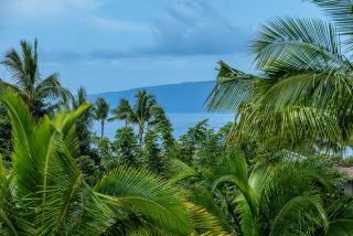 Pacific Shores B309 condo - Kihei - 9