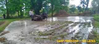 Camp Moragoo - - 5