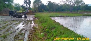 Camp Moragoo - - 6