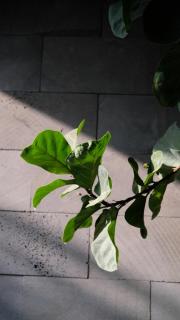 Marilyn Boutique Hotel Nha Trang - Nha Trang - 6