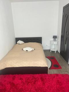 Ingrid home 3 camere - Vatra Dornei - 2